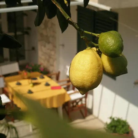 Appartamento Green & Orange *